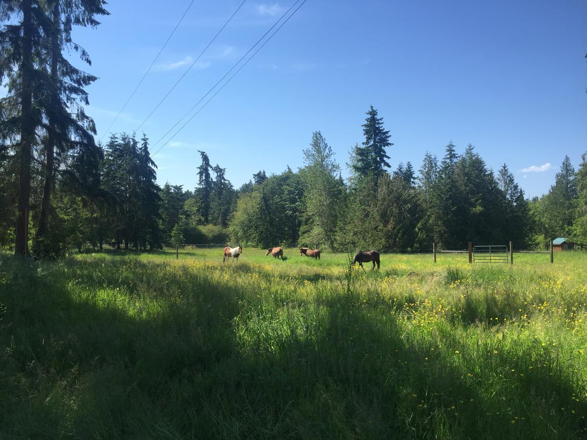 Bond Ranch Retreat 호텔 King Hill 외부 사진